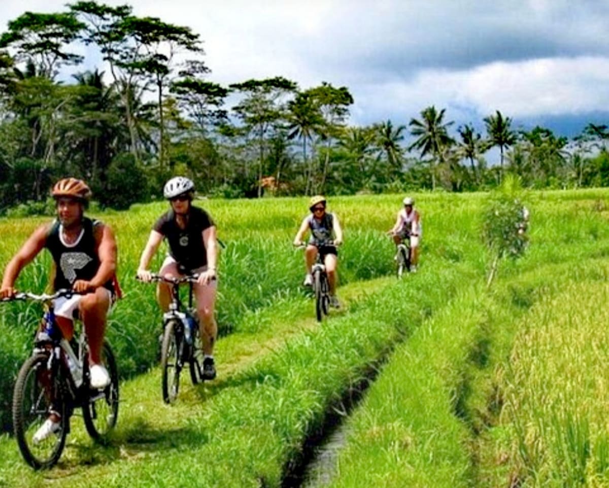 Ubud Cycling Tour Guide