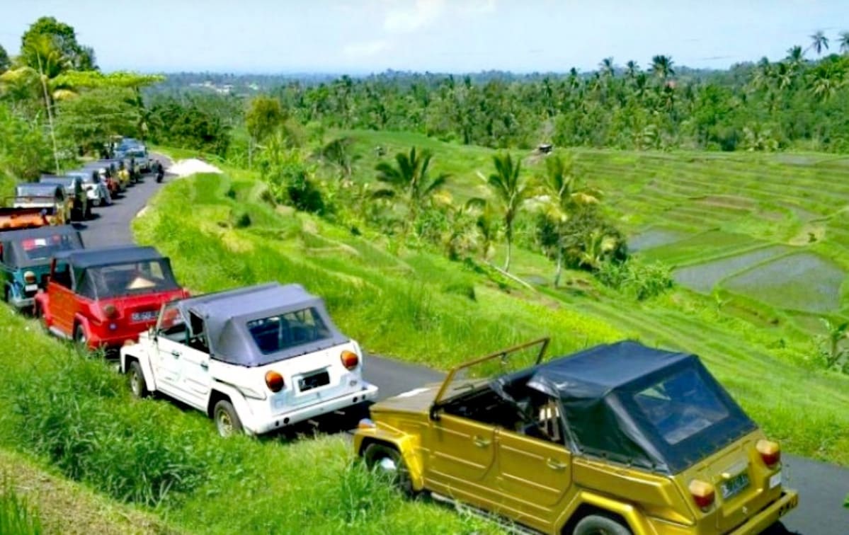 Volkswagen Safari Tour in Bali